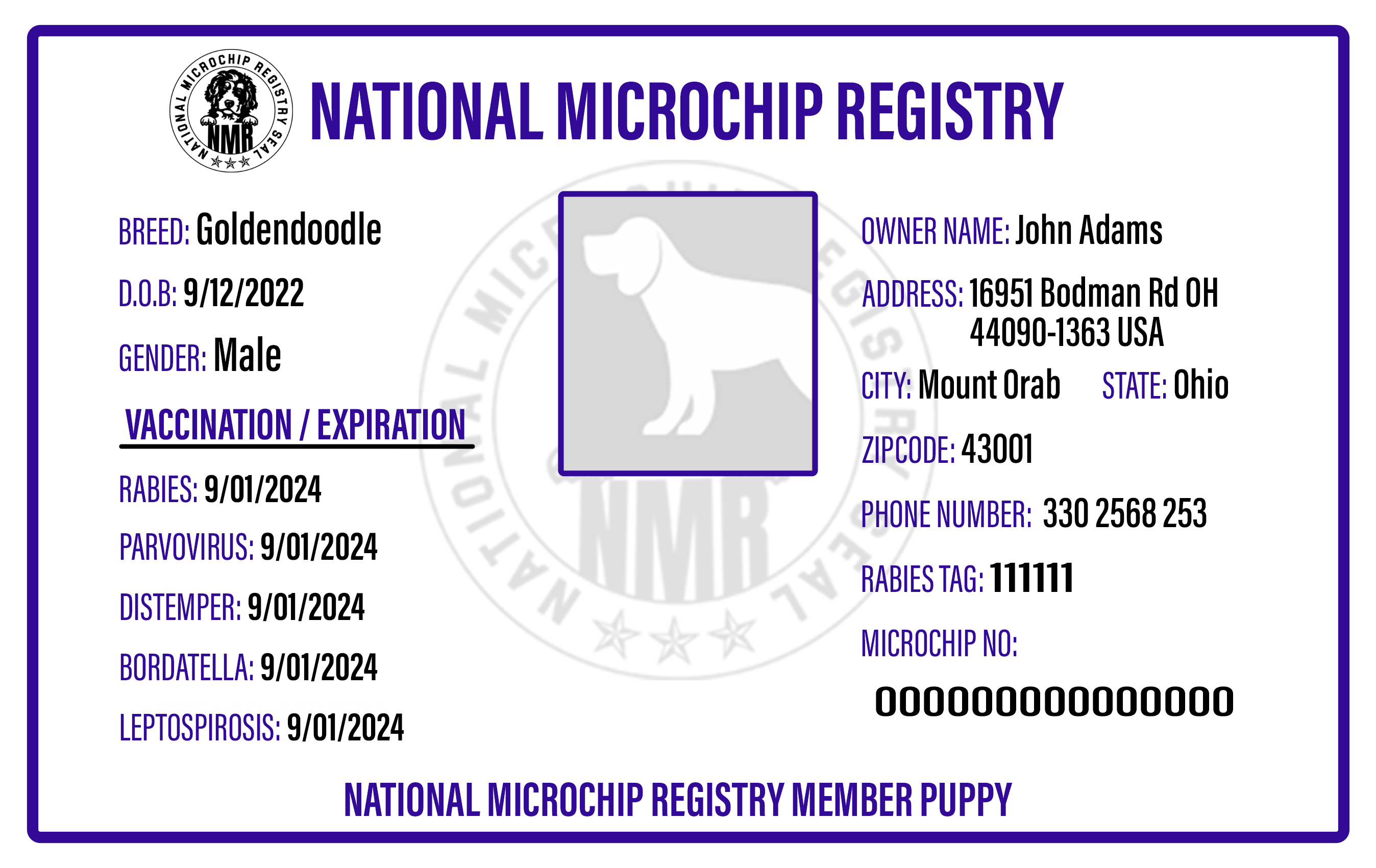 Lost Dog Recovery Service