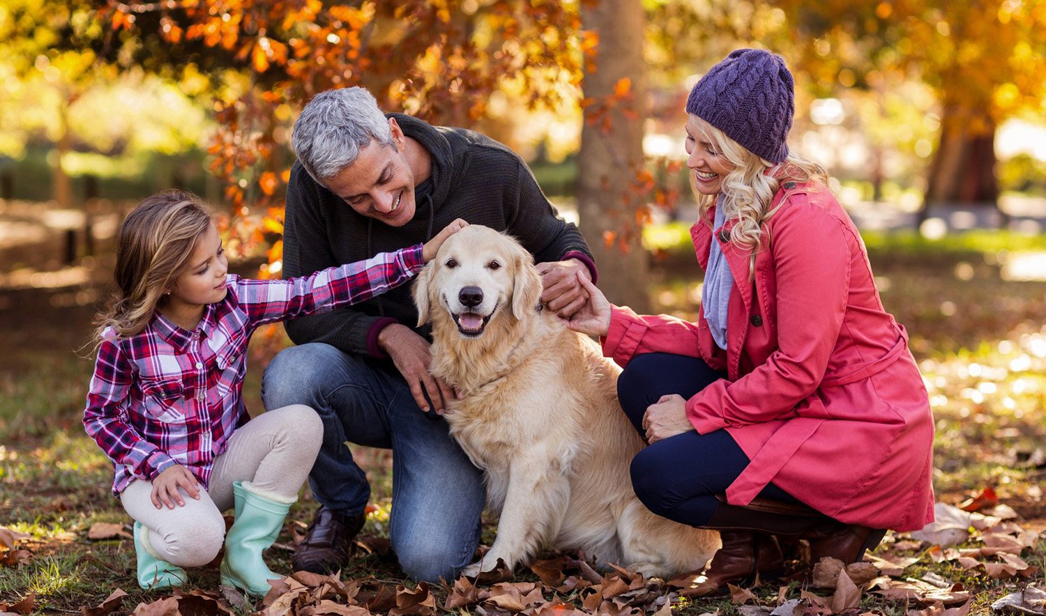 Dog Microchipping Service