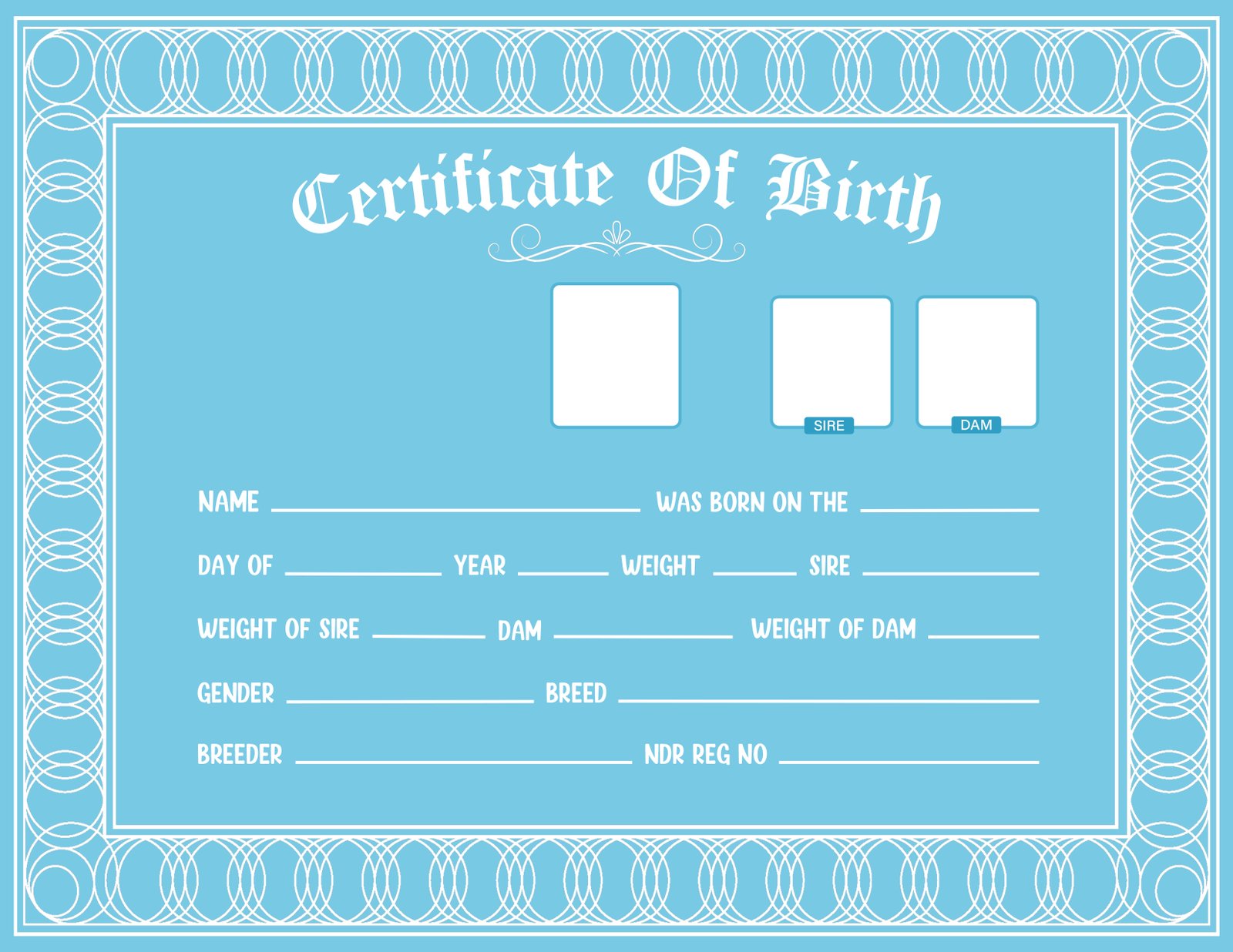 Pet Registration Services