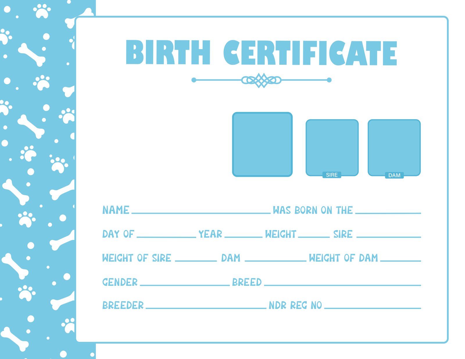 Dog Identification Tags